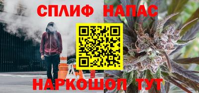 apvp Можга